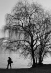 Untitled #2 Untitled #2