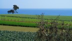 La terra e il mare La terra e il mare