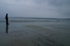 bassamarea II