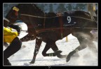 St. Moritz White Turf St. Moritz White Turf