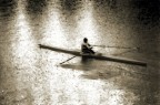 Arno d'Argento Arno d'Argento