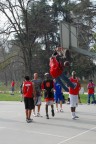 Basket Basket