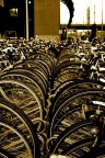 Biciclette Biciclette