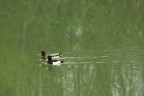 Giretto al Lago.. Giretto al Lago..