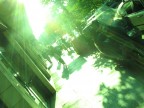 viale ippocrate viale ippocrate