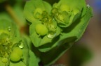 riserva d'acqua riserva d'acqua