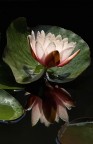 luce nel buio luce nel buio