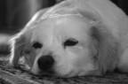 bdofff...come sono stanca..... bdofff...come sono stanca.....