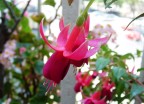 macro s3000 macro s3000