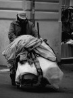 Una vita nel carrello Una vita nel carrello
