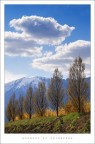 assaggi di primavera assaggi di primavera