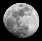 - LUNA - - LUNA -