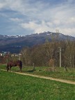 Paesaggio Paesaggio