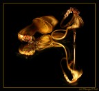 still life in light painting

commenti? critiche?