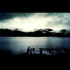 puppy love + norwegian frost