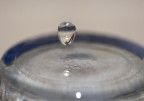 acqua acqua