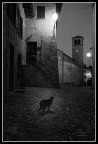 Il gatto di Vigoleno Il gatto di Vigoleno