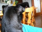 her point of view... her point of view...