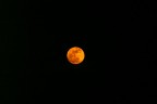 GUARDA CHE LUNA... GUARDA CHE LUNA...