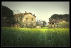 Old Spring... Old Spring...