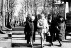 Passeggaita all'olmata Passeggaita all'olmata