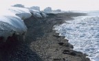 l'ultima glaciazione? l'ultima glaciazione?