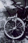ai voluto la bici!..............pedala ai voluto la bici!..............pedala