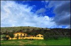 La casa gialla La casa gialla