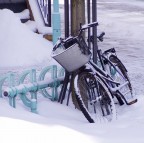 L'hai voluta la bicicletta?