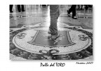 palle del toro palle del toro