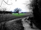 Verso.. Verso..