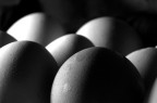 Le solite uova di pasqua!?! Le solite uova di pasqua!?!