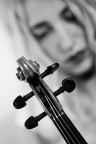 La Musica La Musica