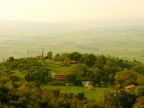 Collinetta Collinetta