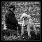 Stai calma Gertrude!