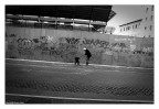 IL PADRONE IL PADRONE