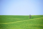toscana1 toscana1