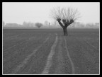 solitario solitario