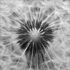 exactly what you wanted