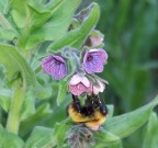 Un piccolo assaggio delle bellezze di Enna