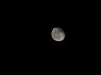 Luna Luna