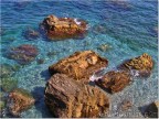 I Colori del Mare I Colori del Mare