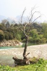 Fiume Calore a Castelcivita Fiume Calore a Castelcivita