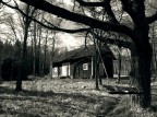 ghost ghost