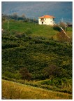 Fuji s5600.
Semplice composizione rurale... che ve ne pare?

[b]Critiche e commenti, pronti? VIA![/b]