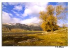 Al lago Al lago