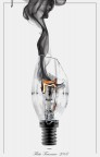 light bulb 00