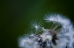 effetto del vento