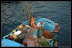 pescatori pescatori