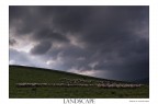 paesaggio e gregge (esperimento sottoesposizione)